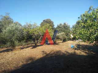 Οικόπεδο 2.000 τ.μ. για πώληση, Θεσσαλονίκη - Κέντρο, Κέντρο-thumb-10