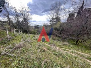 Αγροτεμάχια 925 τ.μ. για πώληση