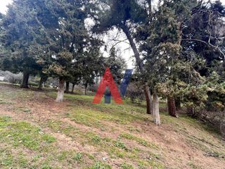 Αγροτεμάχια 925 τ.μ. προς πώληση, Καλκάνη-thumb-1