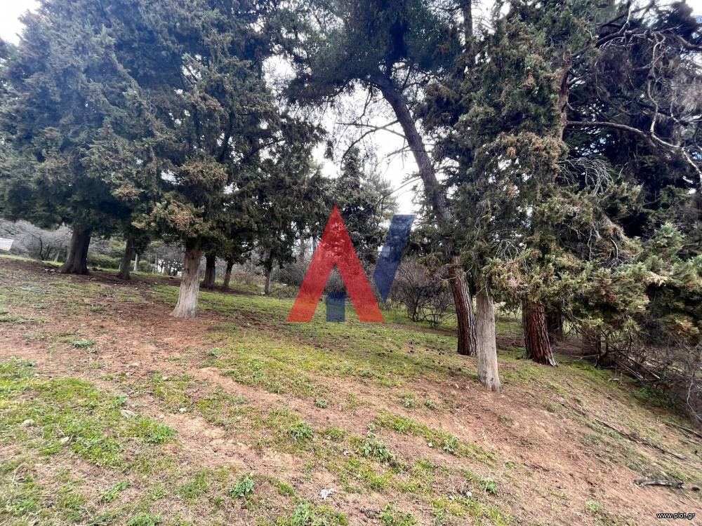 Αγροτεμάχια 925 τ.μ. προς πώληση, Καλκάνη