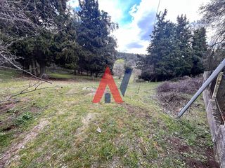 Αγροτεμάχια 925 τ.μ. προς πώληση, Καλκάνη-thumb-5