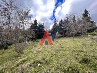 Αγροτεμάχια 925 τ.μ. προς πώληση, Καλκάνη-thumb-7