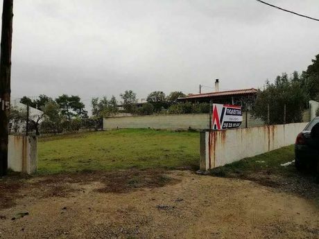 Αγροτεμάχια 271τ.μ. για πώληση-Άγιοι θεόδωροι » Κέντρο
