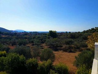 Μονοκατοικία 299 τ.μ. για πώληση