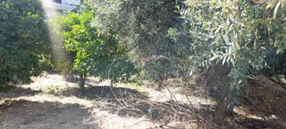 Οικόπεδο 273 τ.μ. για πώληση