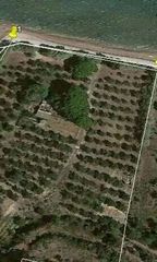 Αγροτεμάχια 13.000 τ.μ. για πώληση