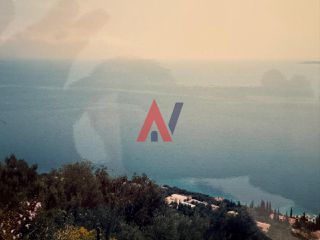 Αγροτεμάχια 8.000 τ.μ. για πώληση