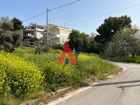 Οικόπεδο 357τ.μ. για πώληση-Χαλάνδρι » Άνω πάτημα