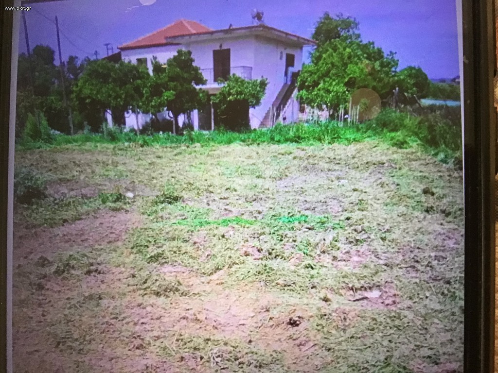 Οικόπεδο 558 τ.μ. για πώληση, Ν. Ηλείας, Πηνεία
