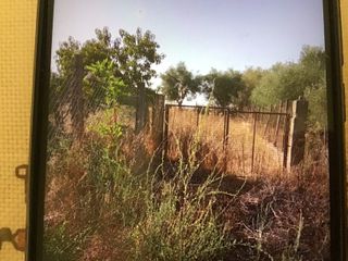 Οικόπεδο 558 τ.μ. για πώληση, Ν. Ηλείας, Πηνεία-thumb-2