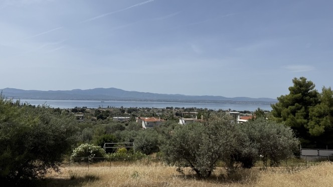 Μονοκατοικία 100 τ.μ. πρός πώληση, Εύβοια, Ερέτρια