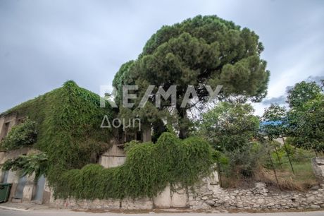 Detached home 528sqm for sale-Artemida » Kato Lechonia