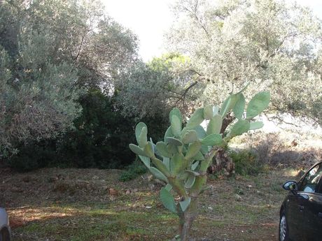 Οικόπεδο 510 τ.μ. για πώληση