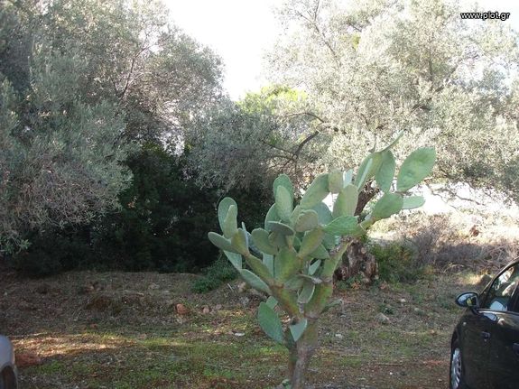 Land plot 510 sqm for sale, Athens - East, Nea Makri