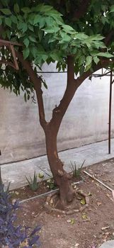 Οικόπεδο 256 τ.μ. προς πώληση