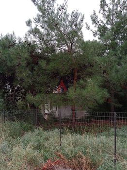 Οικόπεδο 450 τ.μ. για πώληση