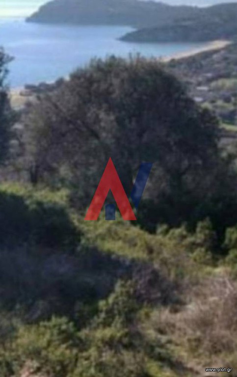 Αγροτεμάχια 5.000 τ.μ. προς πώληση, Πυργαδίκια