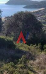 Αγροτεμάχια 5.000 τ.μ. για πώληση