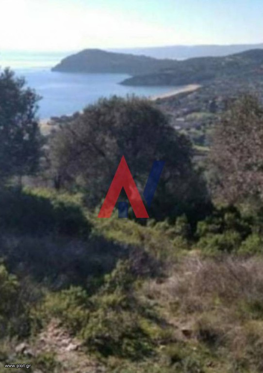 Αγροτεμάχια 5.000 τ.μ. προς πώληση, Πυργαδίκια
