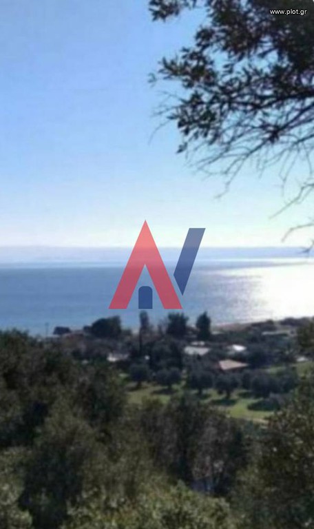 Αγροτεμάχια 5.000 τ.μ. προς πώληση, Πυργαδίκια
