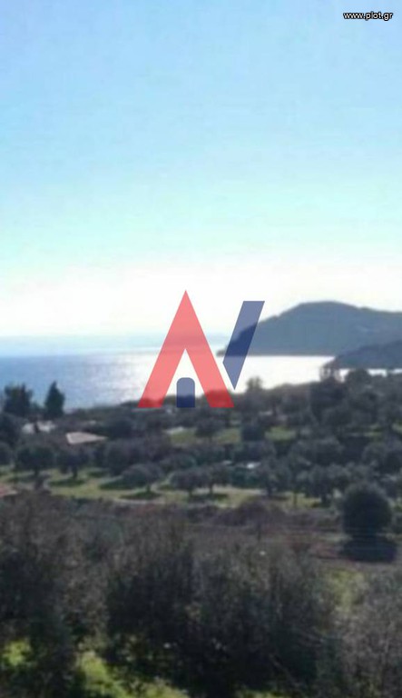Αγροτεμάχια 5.000 τ.μ. προς πώληση, Πυργαδίκια