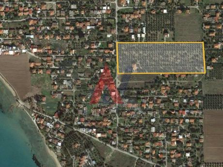 Αγροτεμάχια 21.350 τ.μ. για πώληση