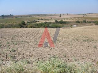 Αγροτεμάχια 12.100 τ.μ. πρός πώληση