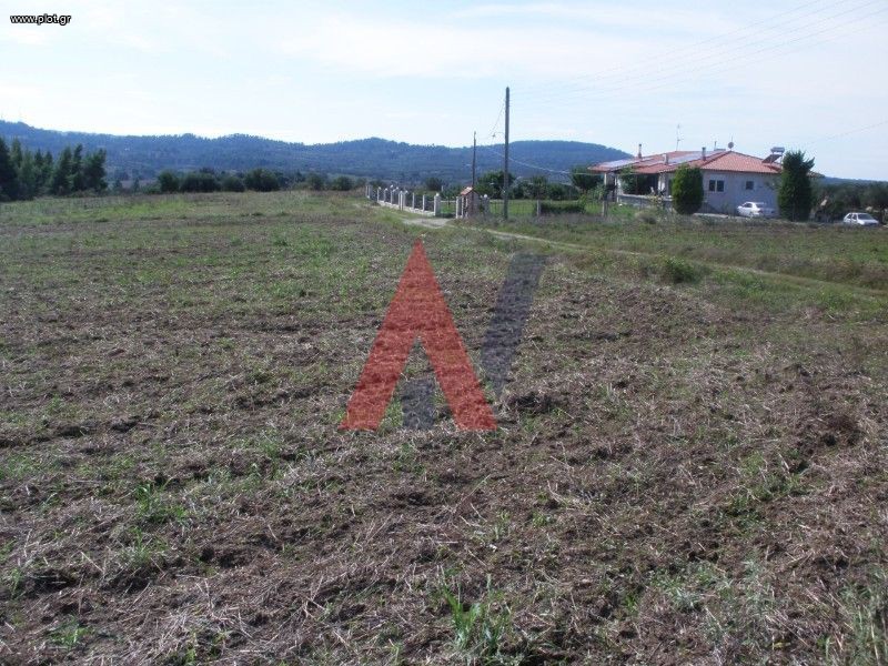 Αγροτεμάχια 11.005 τ.μ. προς πώληση, Καλλιθέα Κασσάνδρας