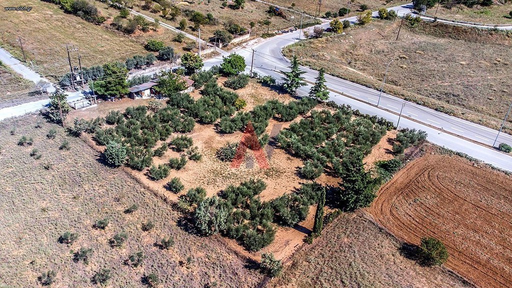 Αγροτεμάχια 4.008 τ.μ. πρός ενοικίαση, Θεσσαλονίκη - Περιφ/Κοί Δήμοι, Πυλαία