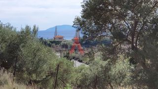 Αγροτεμάχια 789 τ.μ. για πώληση