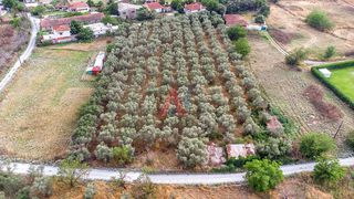 Αγροτεμάχια 7.000 τ.μ. για πώληση