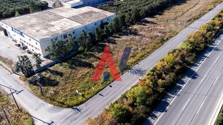 Αγροτεμάχια 6.000 τ.μ. για πώληση