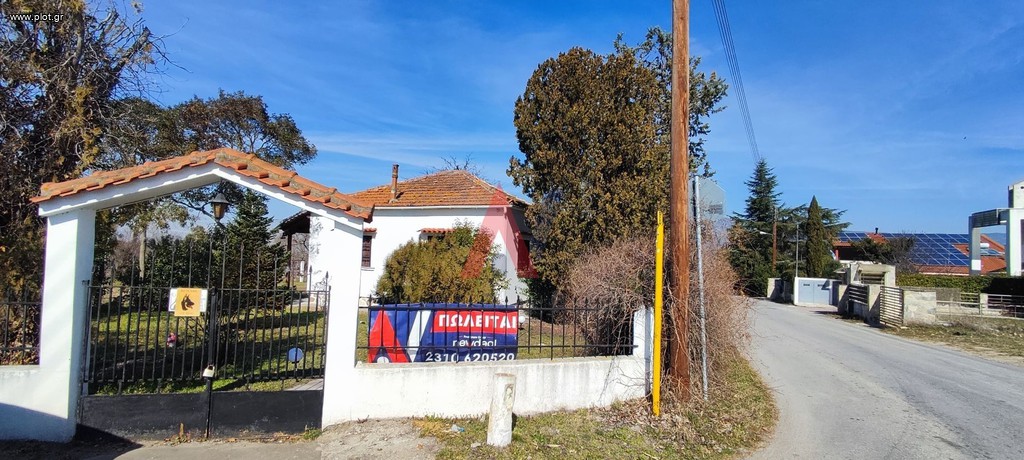 Αγροτεμάχια 12.754 τ.μ. προς πώληση, Σουρωτή