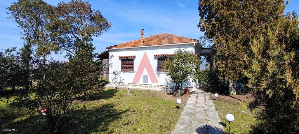 Αγροτεμάχια 12.754 τ.μ. προς πώληση, Σουρωτή