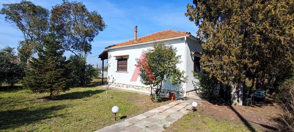 Αγροτεμάχια 12.754 τ.μ. προς πώληση, Σουρωτή