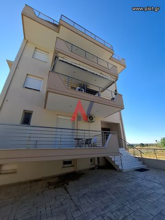 Διαμέρισμα 25 τ.μ. για πώληση, Χαλκιδική, Καλλικράτεια