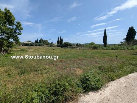 Land plot 3.996sqm for sale-Pirgos » Anthopirgos