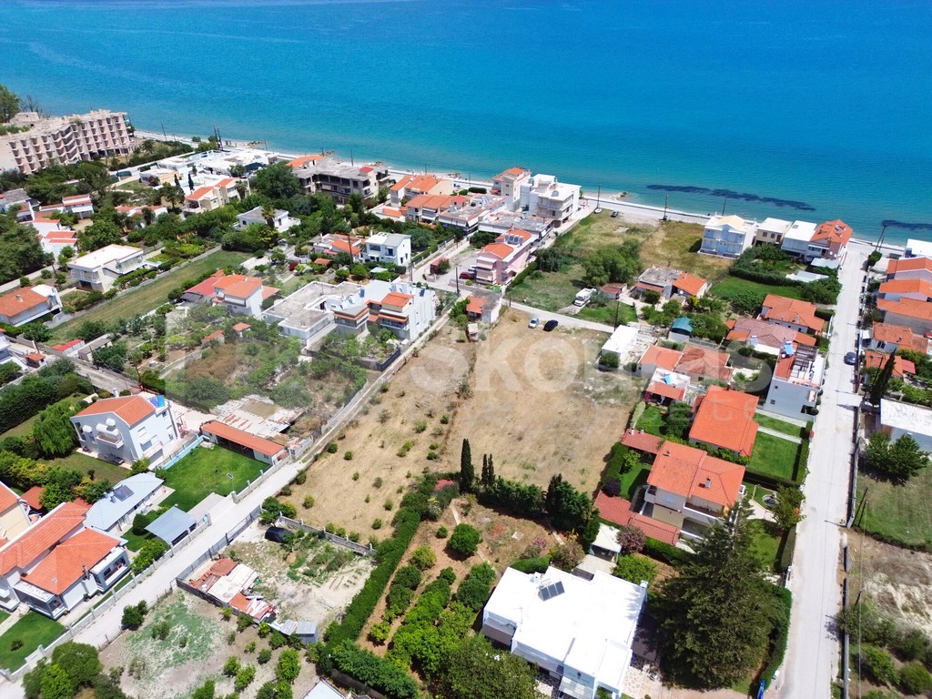 Οικόπεδο 1.334 τ.μ. προς πώληση, Κοκκώνι