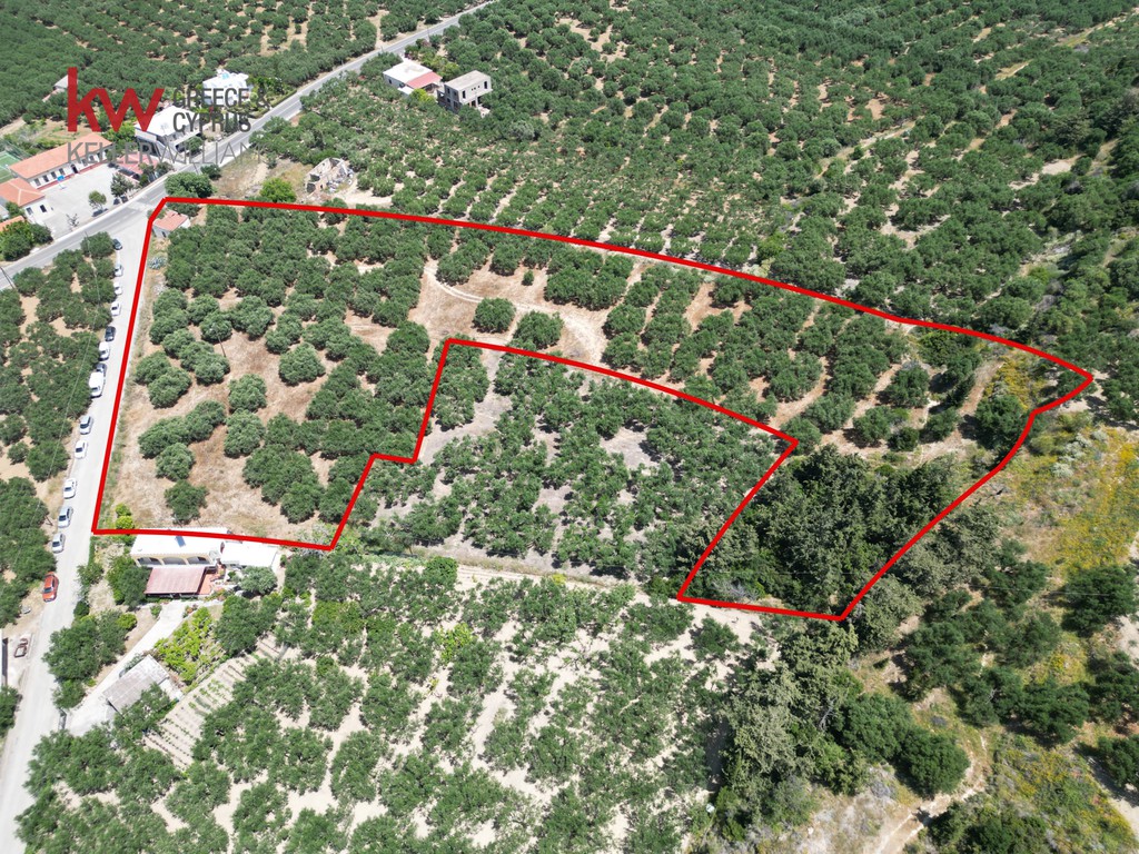Οικόπεδο 12.764 τ.μ. προς πώληση, Δραπανιάς
