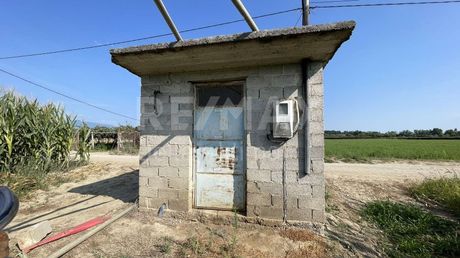 Parcel 10.116sqm for sale-Dion » Kontariotissa