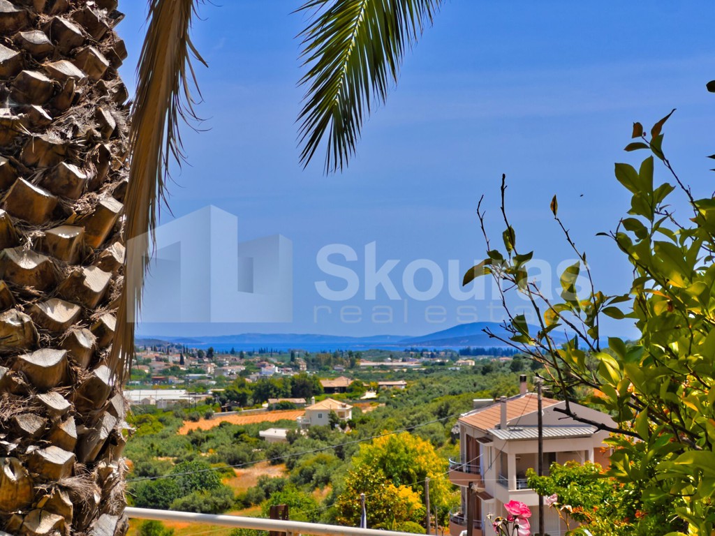Μονοκατοικία 182 τ.μ. προς πώληση, Εξώστης