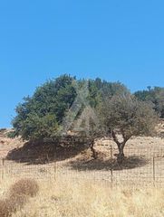 Οικόπεδο 1.336 τ.μ. για πώληση, Εύβοια, Μαρμάρι-thumb-5