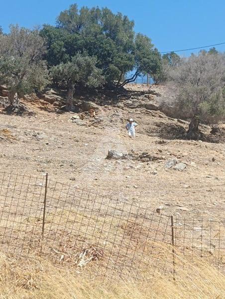 Οικόπεδο 1.336 τ.μ. πρός πώληση, Εύβοια, Μαρμάρι