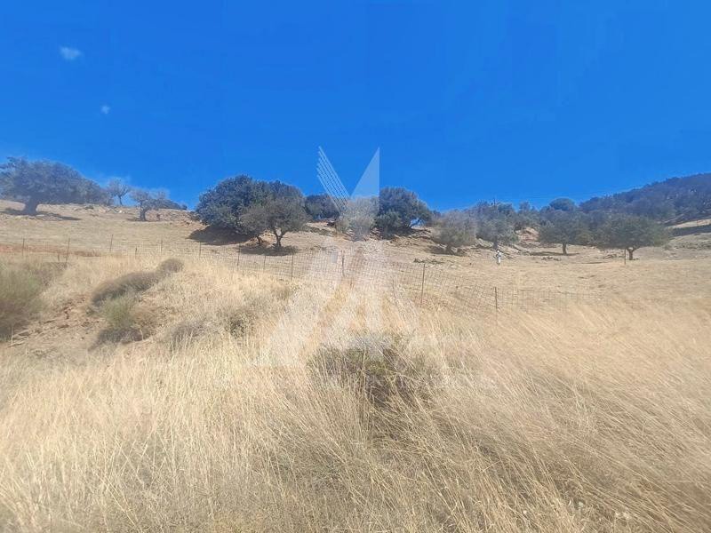 Οικόπεδο 1.336 τ.μ. πρός πώληση, Εύβοια, Μαρμάρι