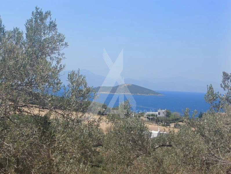 Οικόπεδο 1.336 τ.μ. πρός πώληση, Εύβοια, Μαρμάρι