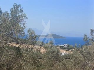 Οικόπεδο 1.336 τ.μ. για πώληση, Εύβοια, Μαρμάρι-thumb-1