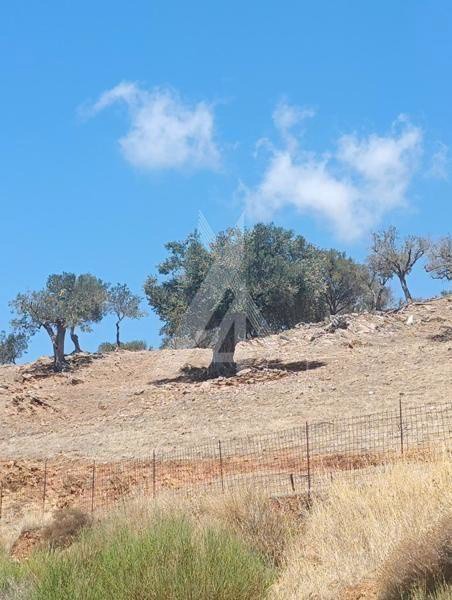 Οικόπεδο 1.336 τ.μ. πρός πώληση, Εύβοια, Μαρμάρι