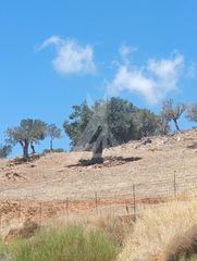 Οικόπεδο 1.336 τ.μ. για πώληση, Εύβοια, Μαρμάρι-thumb-2