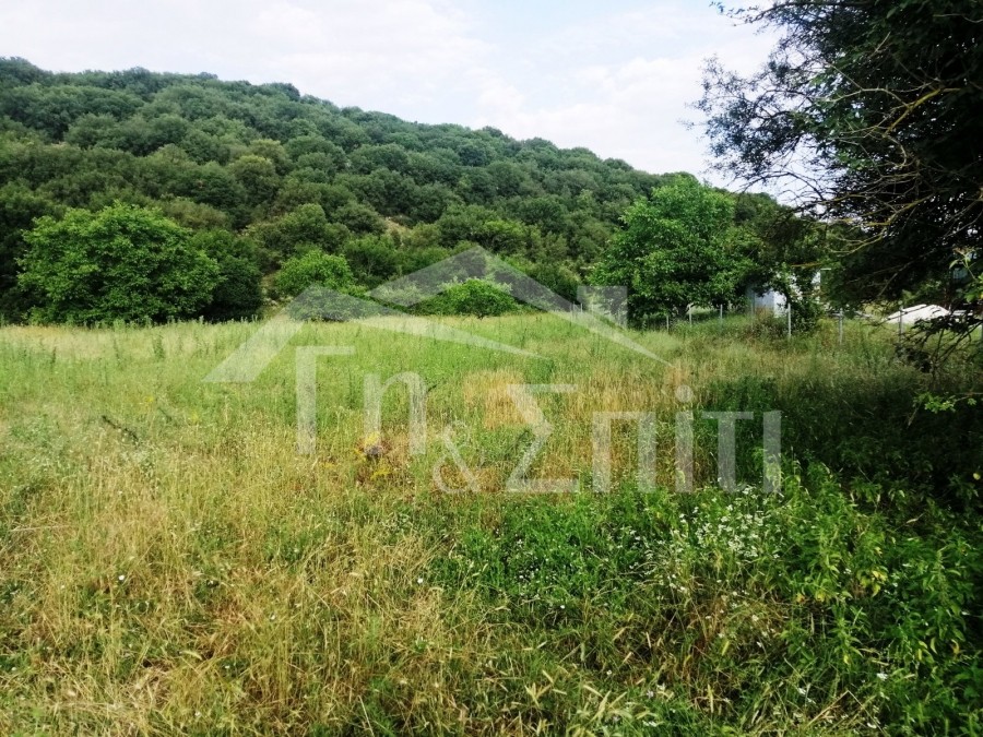 Οικόπεδο 7.000 τ.μ. πρός πώληση, Ν. Ιωαννίνων, Μπιζάνιο