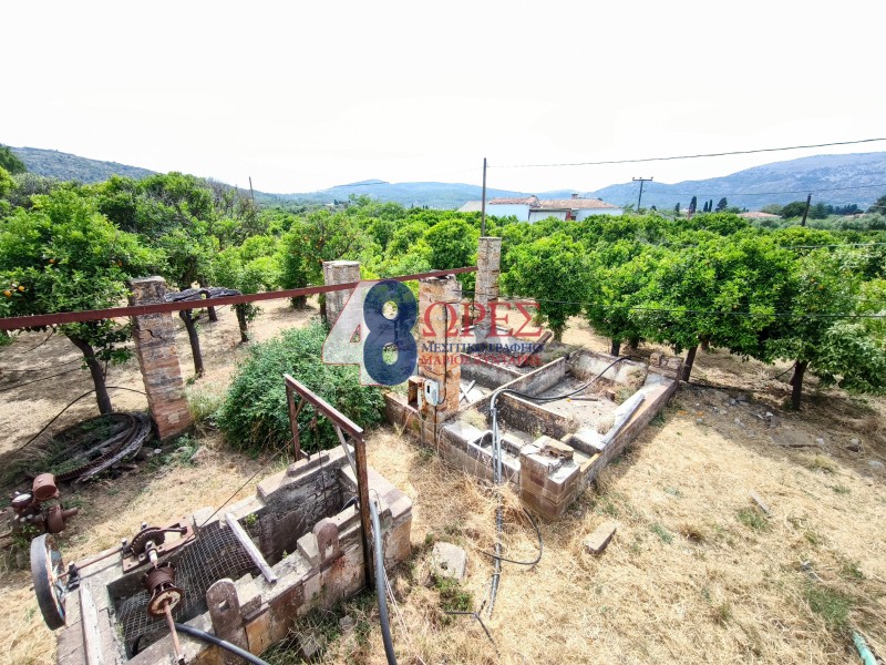 Οικόπεδο 5.185 τ.μ. πρός πώληση, Ν. Χίου, Χίος